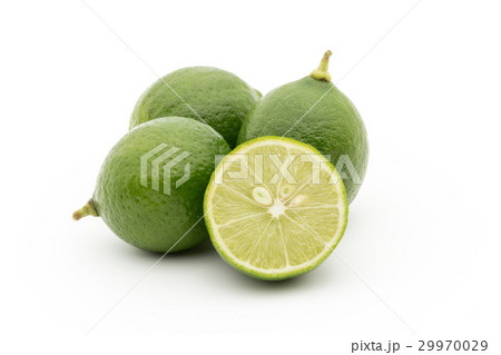 キーライム:Key Lime キーライム:Key Lime 29970029