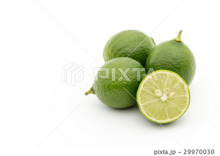 キーライム：Key Lime 29970030