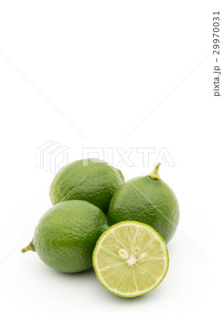 キーライム：Key Lime 29970031