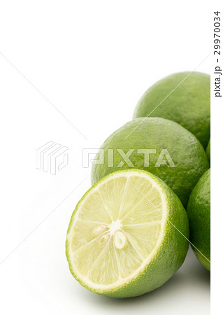 キーライム：Key Lime 29970034