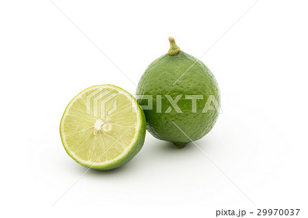 キーライム：Key Lime 29970037