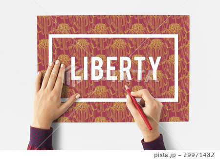 Liberty Freedom Independence Symbol Immigration Liberty Freedom Independence Symbol Immigration 29971482