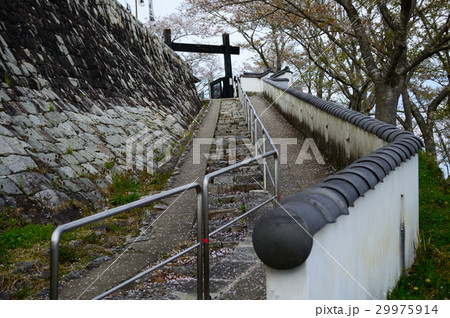 茶臼山城跡 茶臼山城跡 29975914