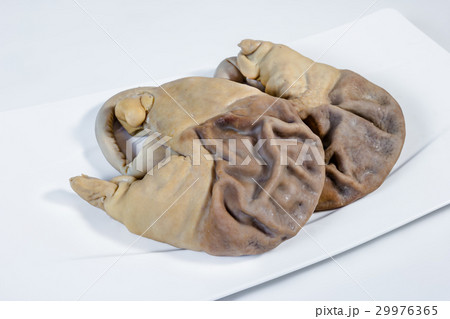 pork stomach on white background 29976365