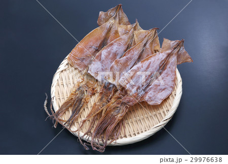 スルメイカ 29976638