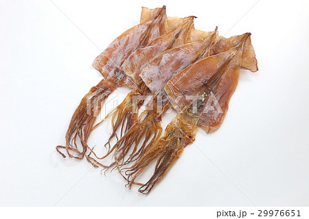 スルメイカ スルメイカ 29976651