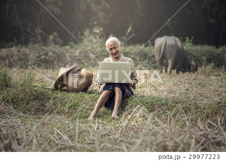 Old woman using a laptop outdoor Old woman using a laptop outdoor 29977223