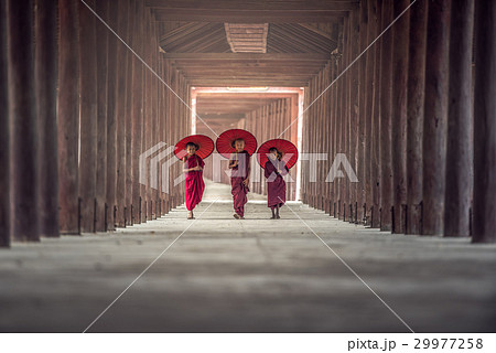 Buddhist novice are walking in temple 29977258