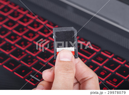 hand holding SD card with laptop hand holding SD card with laptop 29978079