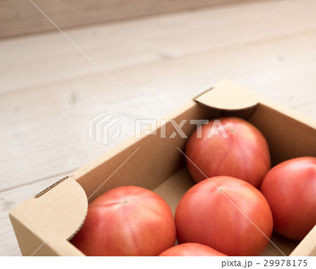 トマト 29978175