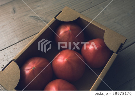 トマト トマト 29978176