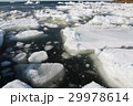 流氷 29978614
