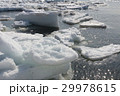 流氷 29978615