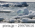 流氷 29978616