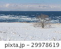 流氷 29978619