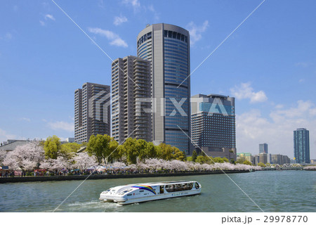 春の大川を行く観光船 29978770
