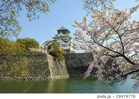 春の大阪城 29978776