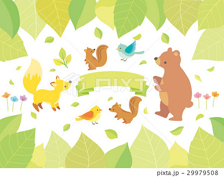 植物と動物のイラスト 29979508
