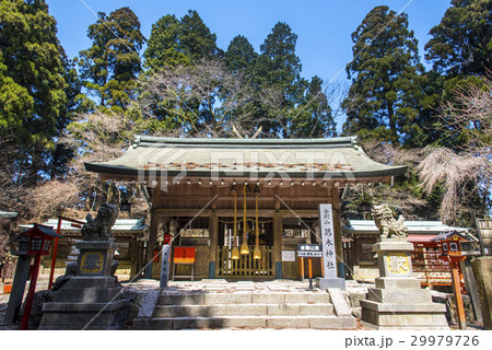 金剛山葛木神社 金剛山葛木神社 29979726