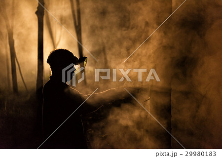 Man Tapping Rubber Tree at Night Man Tapping Rubber Tree at Night 29980183