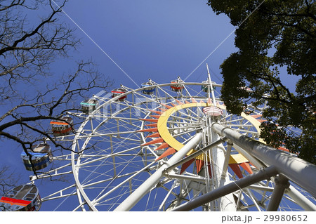 観覧車 29980652