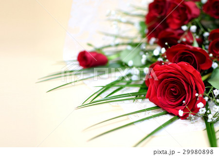バラ　赤　薔薇　花束 29980898