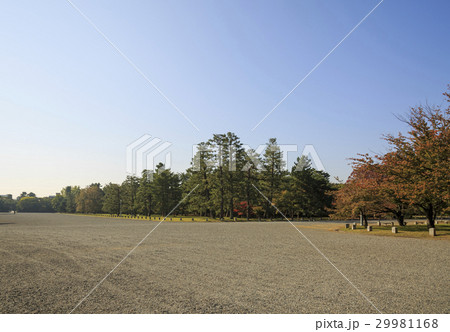 京都御所 29981168