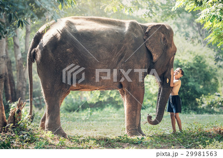 Friendship between children with elephant 29981563