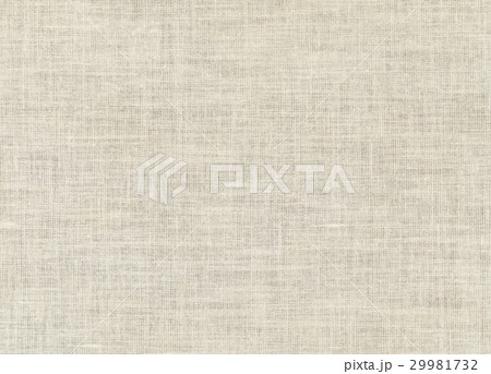 布テクスチャ 背景 29981732