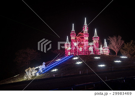 群馬 おおたイルミネーション2016 群馬 おおたイルミネーション2016 29983469