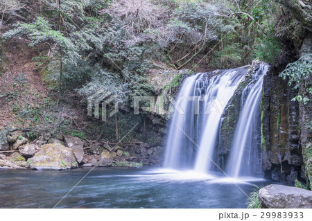 河津七滝 初景滝 河津七滝 初景滝 29983933