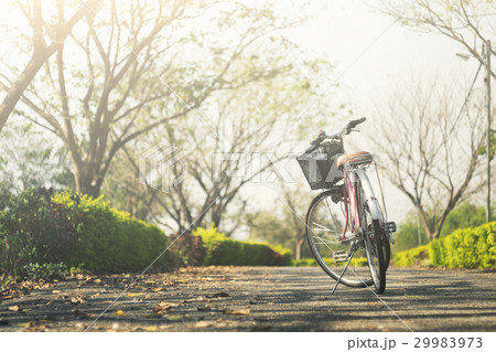Vintage Bicycle with Summer grass field. 29983973