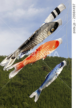 山里の鯉のぼり 山里の鯉のぼり 29984497
