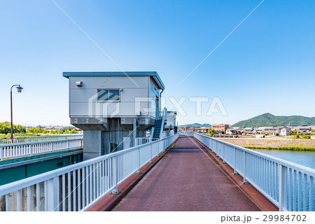 犬山頭首工ライン大橋 29984702