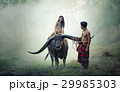 Couple farmer in farmer suit with buffalo on field 29985303