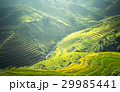 Beautiful view of rice terrace at Mu Cang Chai 29985441
