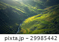Beautiful view of rice terrace at Mu Cang Chai 29985442