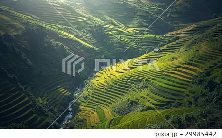 Beautiful view of rice terrace at Mu Cang Chai 29985442