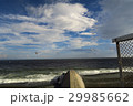 初夏の海鳥 29985662
