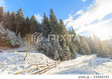 Sunrise, winter, forest, snow 29986595