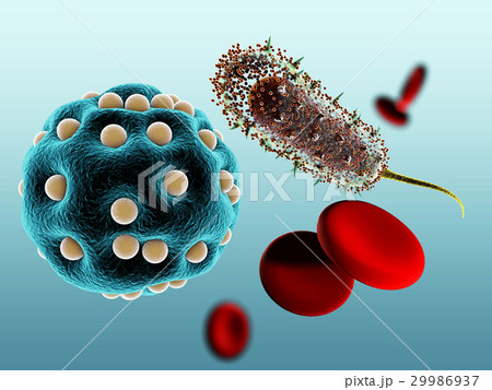 Bacteria and virus cels, 3d illustration  29986937