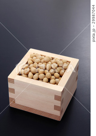 まめ まめ 29987044