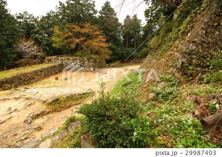 安土城跡 29987403