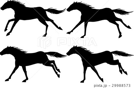 Horse005-008 Horse005-008 29988573