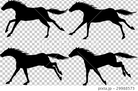 Horse005-008 Horse005-008 29988573