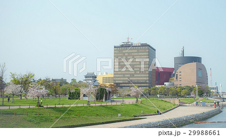 春のイメージ_小倉北区_桜 春のイメージ_小倉北区_桜 29988661