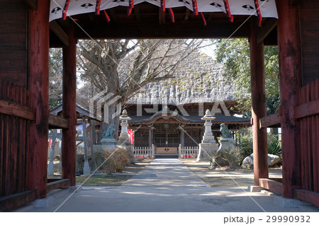 【重要文化財】佐竹寺 本堂 29990932