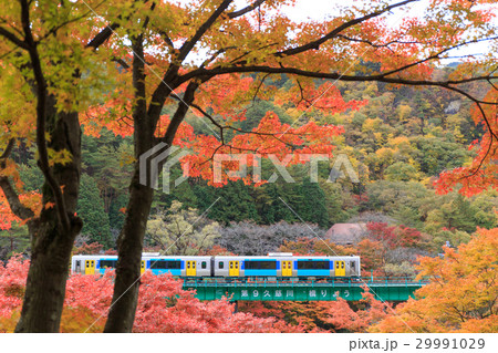 紅葉と列車 29991029