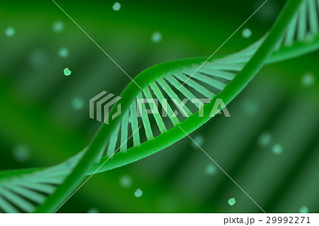 DNA chain macroshot 29992271