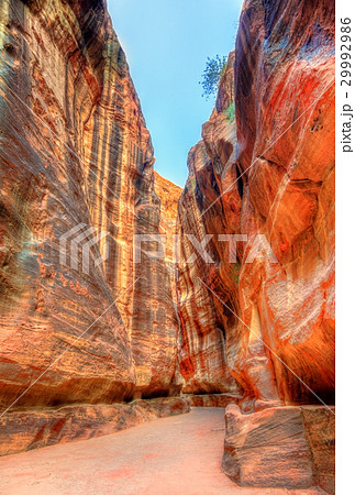 Road inside the Siq Canyon at Petra 29992986